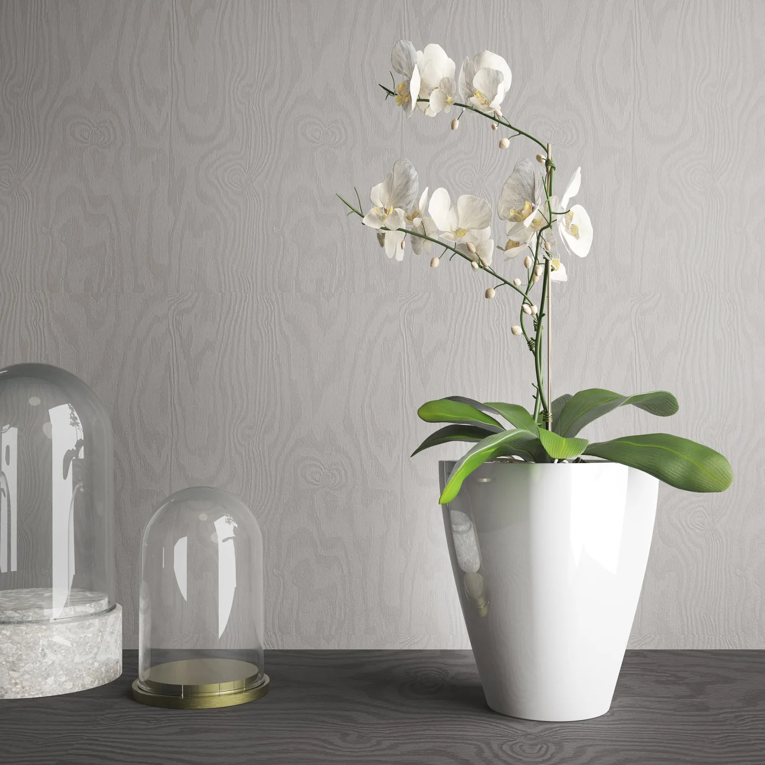 Orchidea négyzet kaspó (PP)