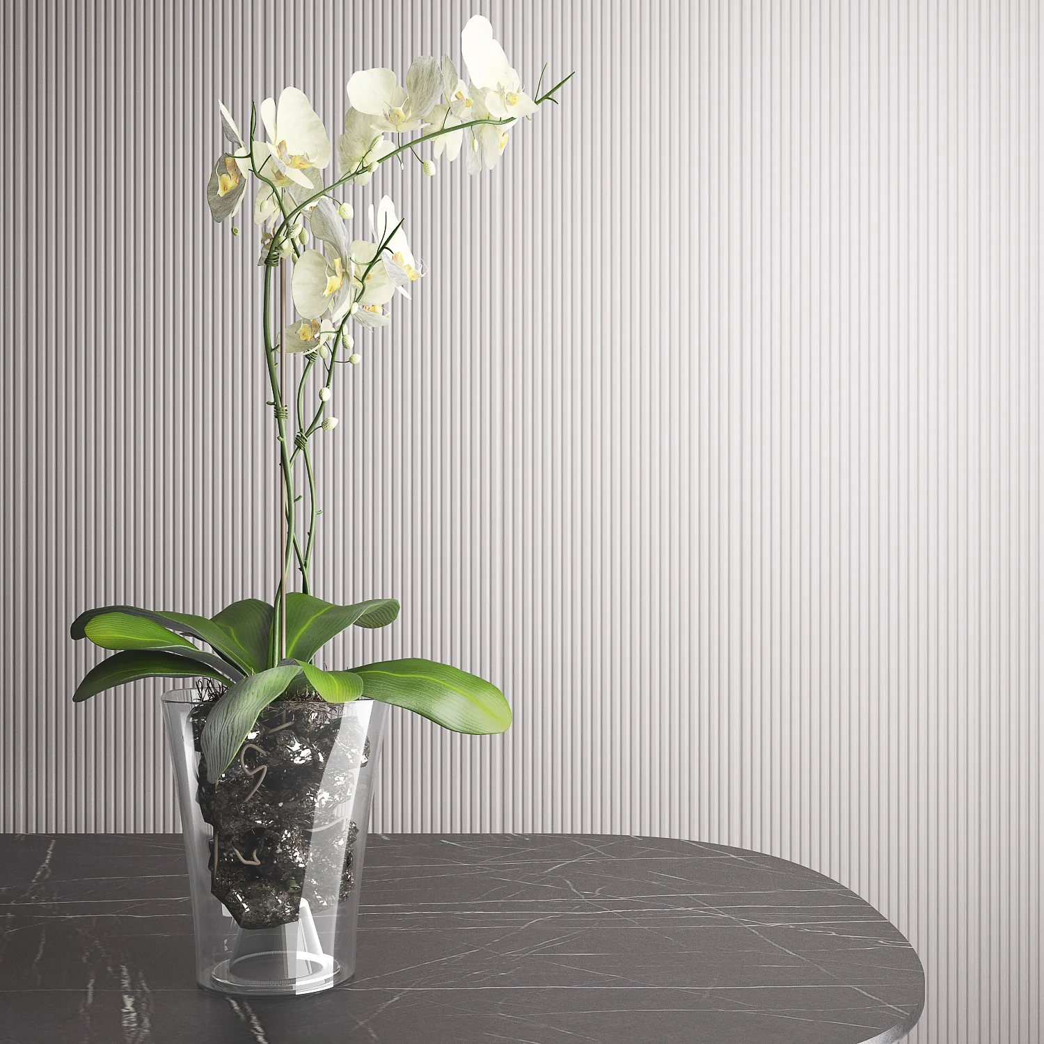 Orchidea kaspó (PS, áttetsző)