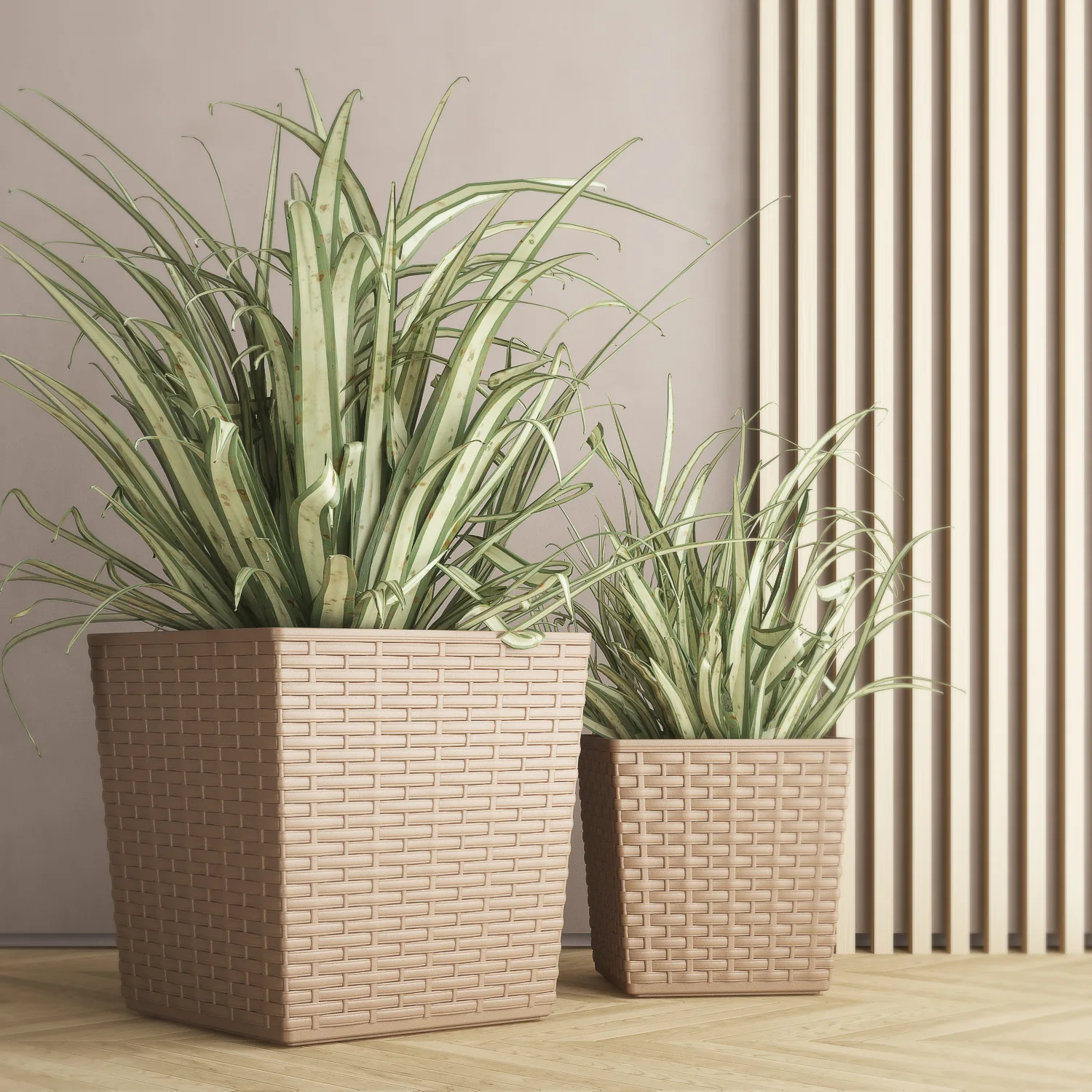 Rattan kaspó
